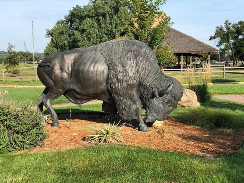 large bronze buffalo statue for sale