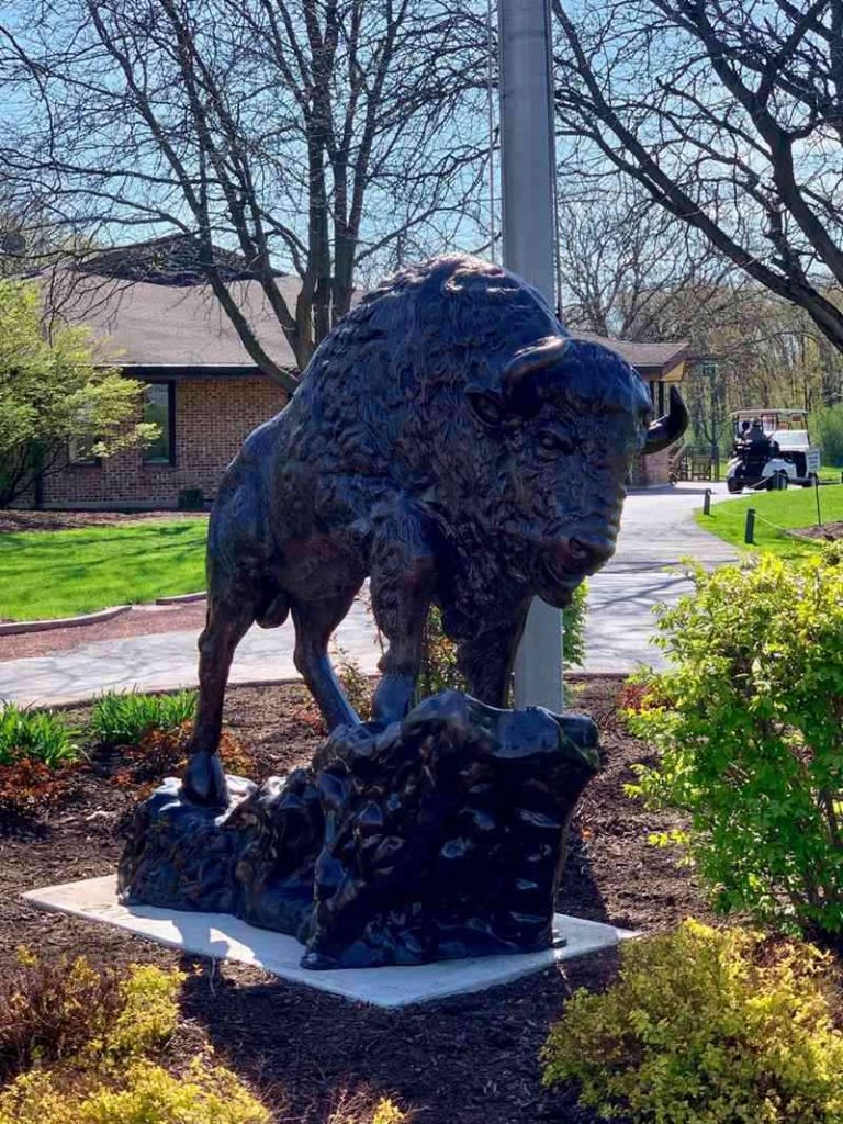 life size bronze buffalo statue