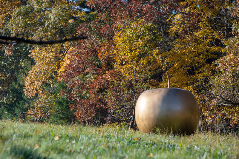 charming apple sculpture for outdoor lawn decor (4)