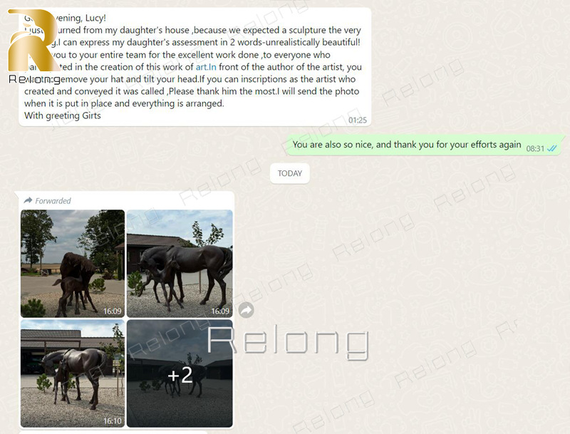 Relong customer feedback